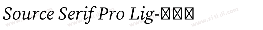 Source Serif Pro Lig字体转换